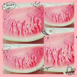 鹤壁吃瓜视频,揭秘网络热点背后的真相